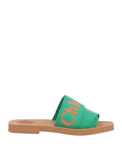 Chloé Woody Sandals In Green & Orange