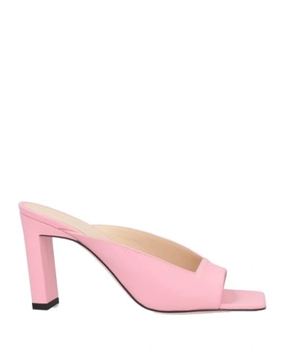 Wandler Isa Square In Pink &amp; Purple
