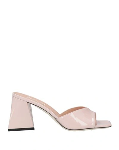 Pollini Woman Sandals Blush Size 11 Calfskin In Pink