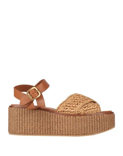 Tod's Woman Espadrilles Camel Size 11 Natural Raffia In Beige