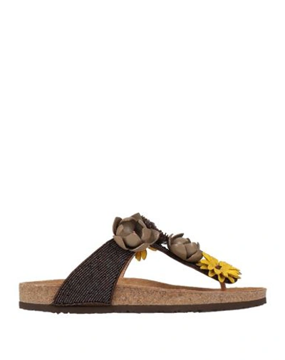 Maliparmi Malìparmi Woman Thong Sandal Cocoa Size 11 Leather, Textile Fibers In Brown