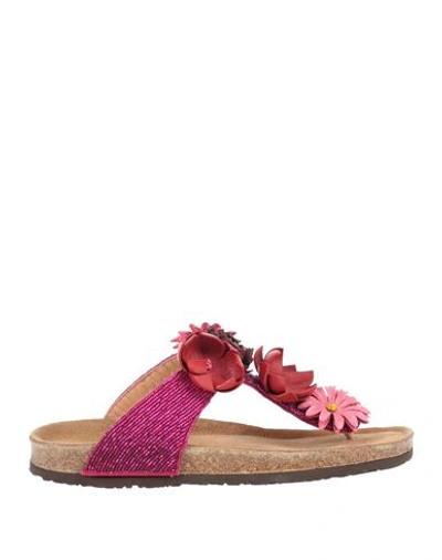 Maliparmi Malìparmi Woman Thong Sandal Fuchsia Size 11 Leather, Textile Fibers In Pink