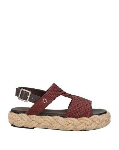 Collection Privèe Collection Privēe? Woman Espadrilles Dark Brown Size 8 Leather In Red