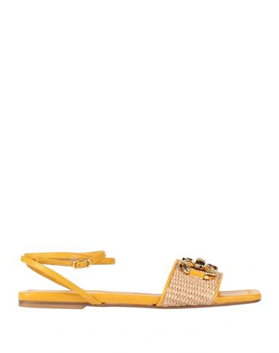 Baldinini Woman Sandals Marigold Size 7 Leather, Textile Fibers In Yellow
