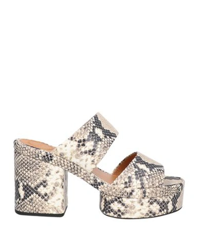 Chloé 110mm Leather Snakeskin Sandals In Brown