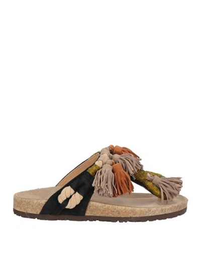 Maliparmi Flip Flop Sandals With Leather Flowers In Beige