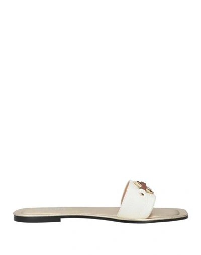 Pollini Woman Sandals White Size 11 Calfskin