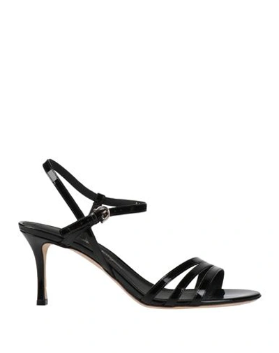 Ferragamo Woman Sandals Black Size 7.5 Calfskin