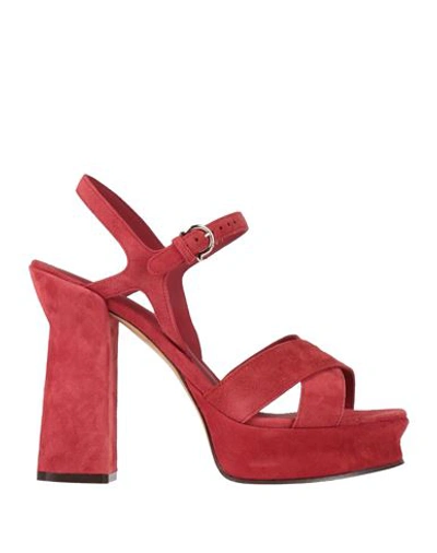 Ferragamo Woman Sandals Brick Size 8 Calfskin In Red
