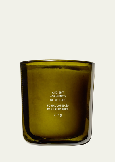 Flamingo Estate Ancient Agrigento Olive Tree Candle, 8 Oz. In Green