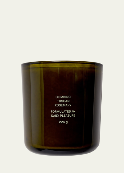 Flamingo Estate Climbing Tuscan Rosemary Candle, 8 Oz. In Green