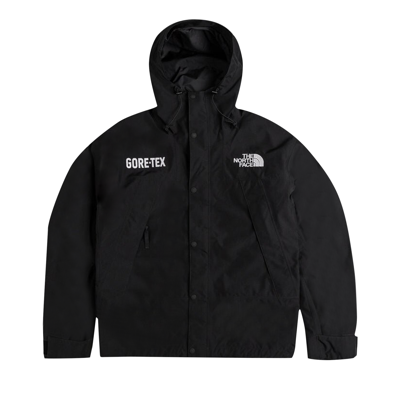 Pre-owned The North Face Gtx Mountain Jacket 'tnf Black'