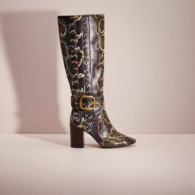 Coach Restored Evelyn Boot In Snakeskin In Oxblood/natural Multi