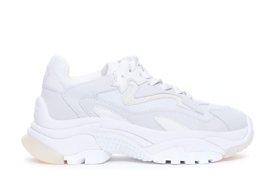 Ash Trainers In White