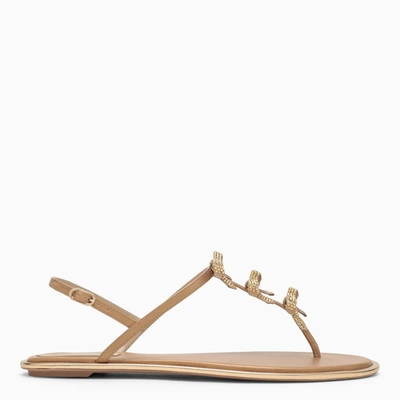 René Caovilla Golden Leather Sandal With Bows In Metal