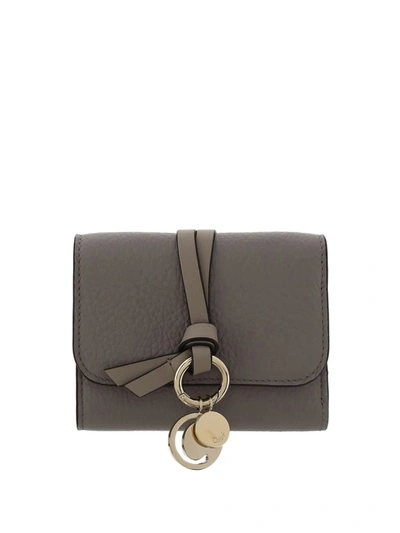 Chloé Small Trifold Letter Wallet In Cashmere Grey