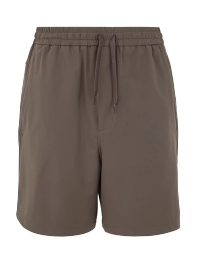 Ea7 Emporio Armani Knitted Shorts Clothing In Brown