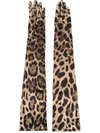 Dolce & Gabbana Guanti Lunghi Stampa Leopardo In Multicolour
