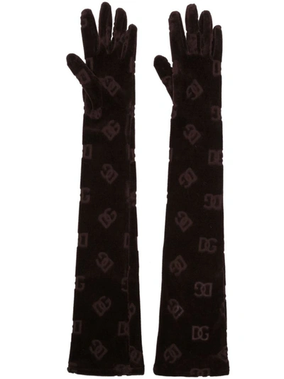 Dolce & Gabbana Logo Gloves Accessories In Brown