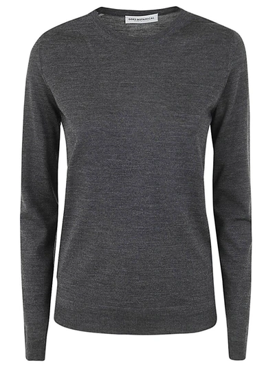 GOES BOTANICAL GOES BOTANICAL LONG SLEEVES CREW NECK SWEATER CLOTHING