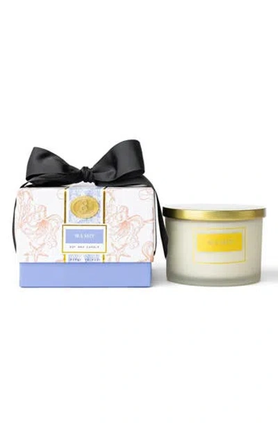 8 Oak Lane Sea Salt 3-wick Soy Wax Candle In Coral