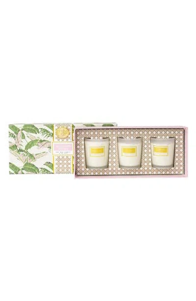 8 Oak Lane Under The Palms 3-piece Mini Candle Set In Pink