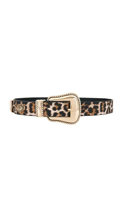 8 Other Reasons Leopard Print Belt With Gold Detail In Animal Print