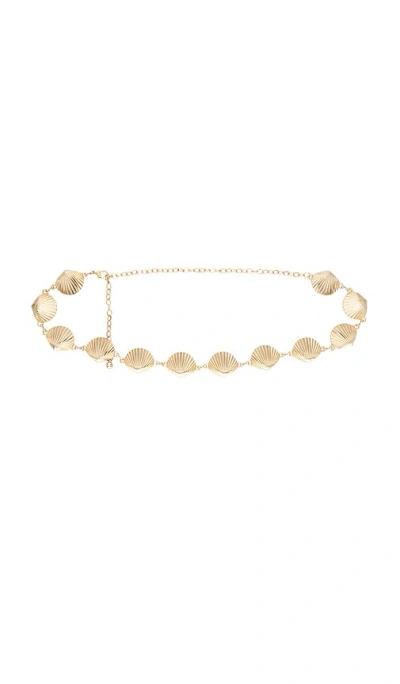 8 Other Reasons Seashell Belt In Gold