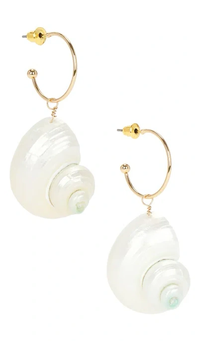 8 Other Reasons Shell Earrings In Gold