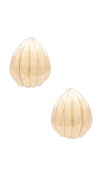 8 Other Reasons Shell Hoop Earrings In 金色