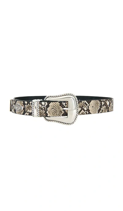 8 Other Reasons Snake Printed Belt With Silver Details In Multi