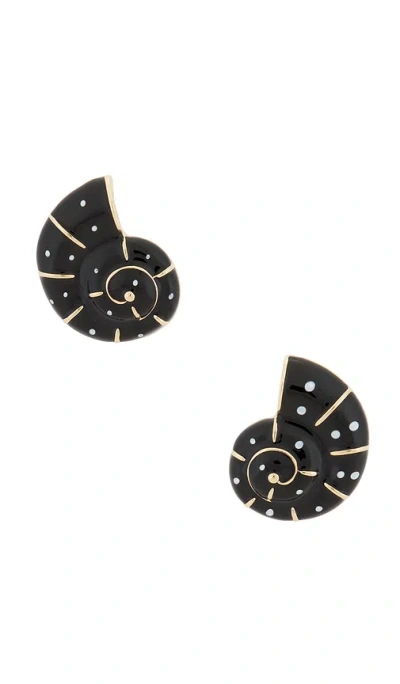 8 Other Reasons Spiral Shell Stud Earrings In Black