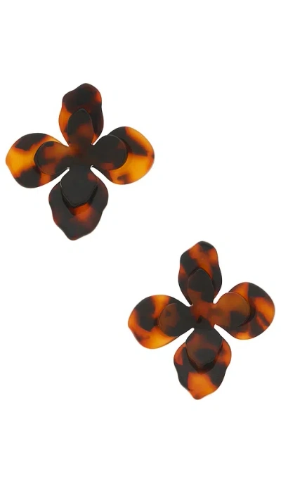 8 Other Reasons Stud Earrings In Brown