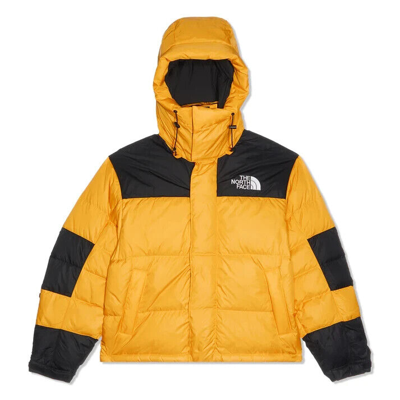 Pre-owned The North Face Hmlyn Baltoro Nf0a832gzu3 Men's Yellow Puffer Jacket Size M Nf010