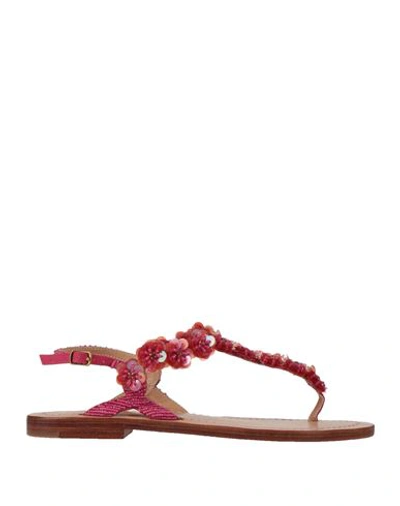 Maliparmi Malìparmi Woman Thong Sandal Fuchsia Size 7 Textile Fibers In Pink