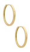 SHASHI TIMELESS HOOPS