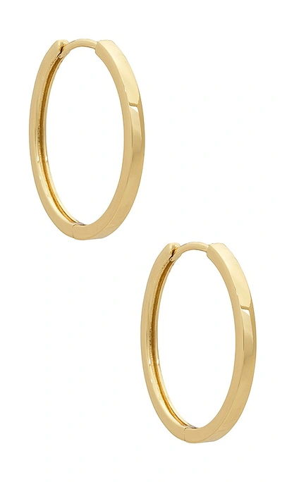 Shashi Timeless Hoops In É‡‘è‰²