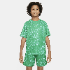 Nike Multi Big Kids' (boys') Dri-fit Shorts In Green