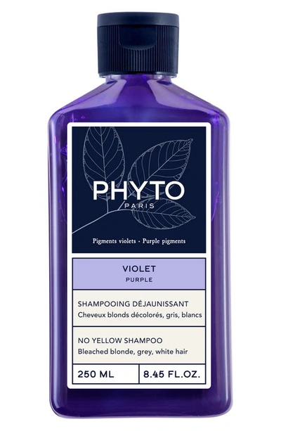 Phyto Purple No Yellow Shampoo, 8.45 oz