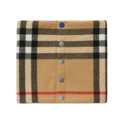 Burberry Scarves In Brown