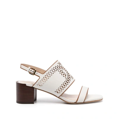 Tod's Shoes In Neutrals