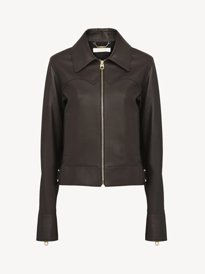 Chloé Nappa Leather Bomber Jacket In Brown