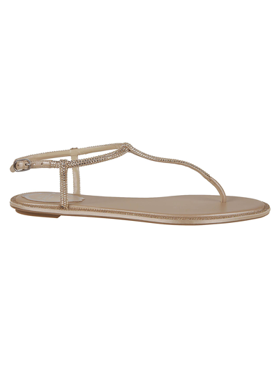 René Caovilla Rene Caovilla Diana Crystal Embellished Thong Sandals In Gold