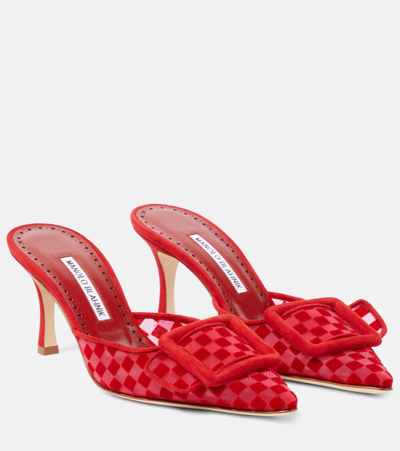 Manolo Blahnik Maysalebi 70 Buckled Checked Suede And Mesh Mules In Bred