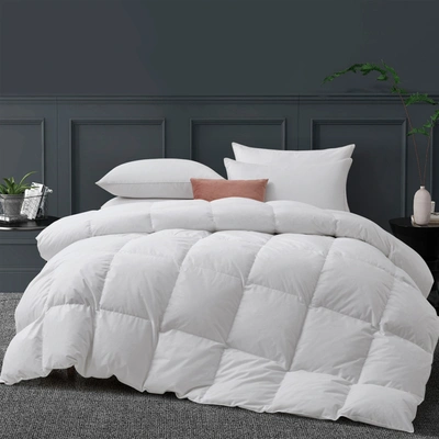 Puredown All Season Down And Feather Comforter With 100% Cotton