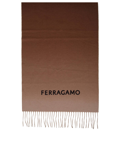 Ferragamo Scarf In Cashmere Nuance Shaded Effect In Brown