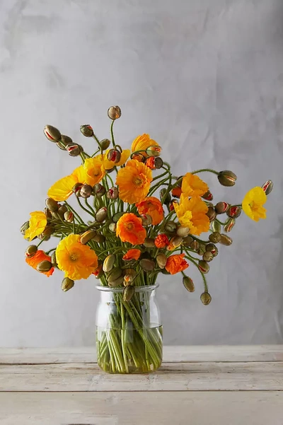 Terrain Fresh Poppy Bunch In Yellow