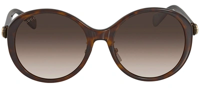 Gucci Gg0370sk W 002 Oval Sunglasses In Brown