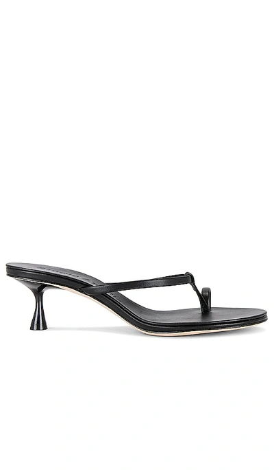 Studio Amelia Edith 50 Heel In Black