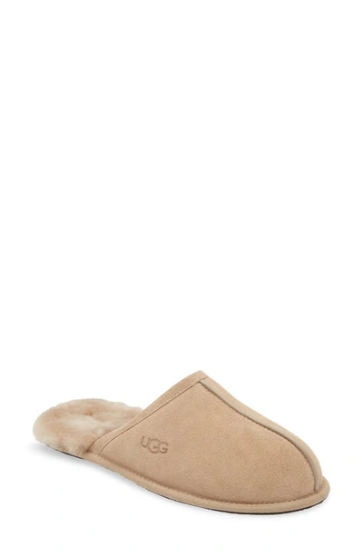 Ugg Scuff Slipper In Beige